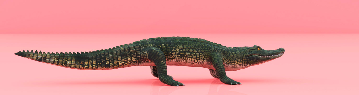 Alligator Spiele
