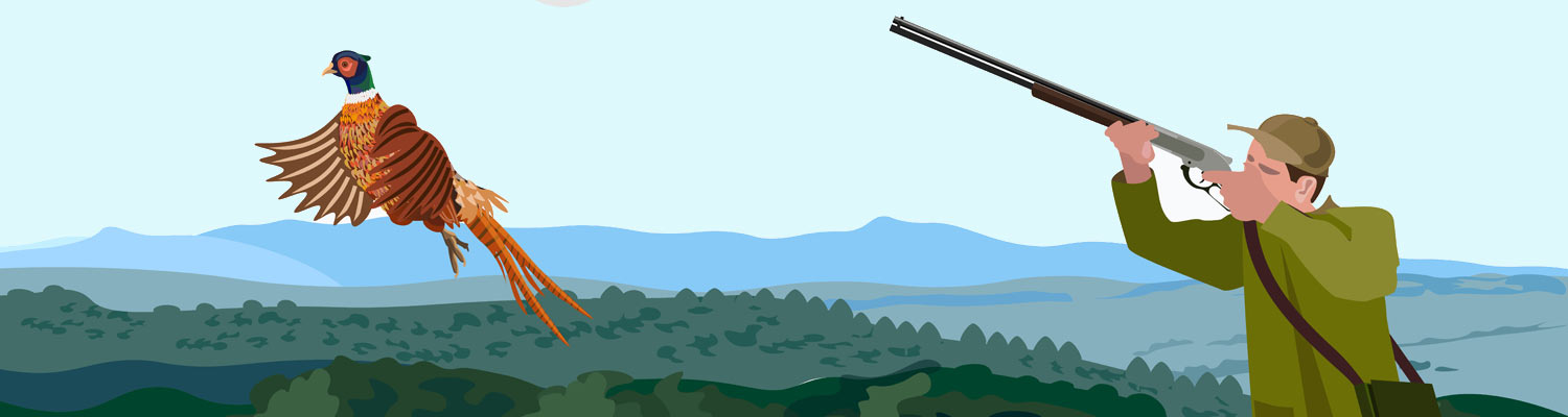 Juegos de Cazar Animales
