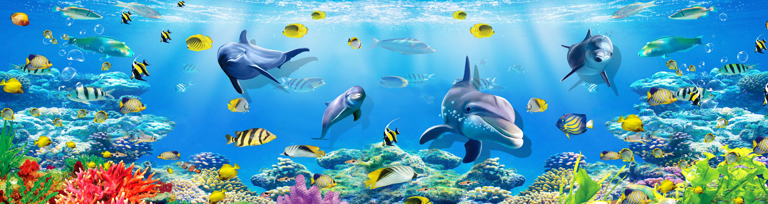 Giochi dell'acquario