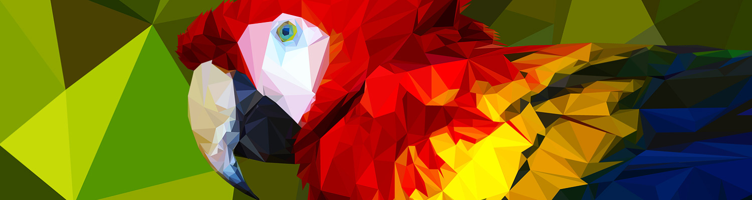 Jeux d'oiseaux
