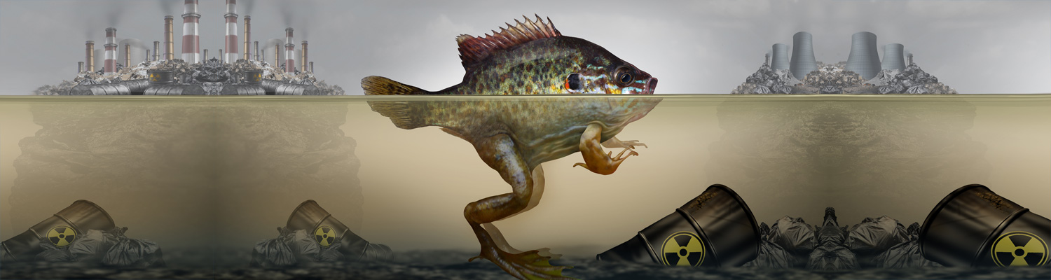 Evolution Games