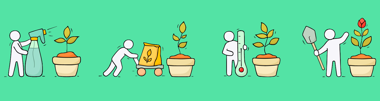 Juegos de Crecer