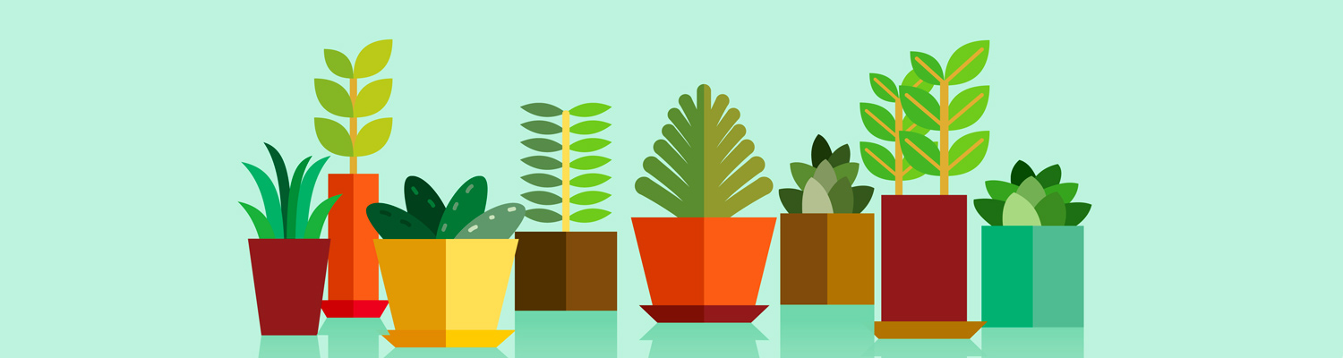 植物游戏