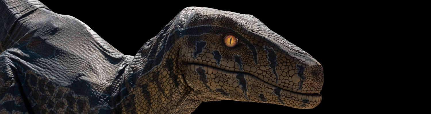 Игри со Raptor