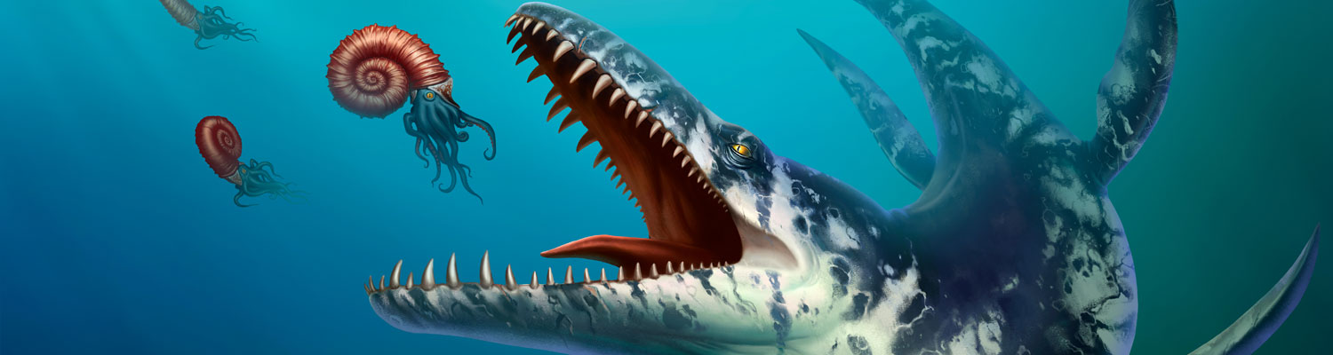 Reptilien Spiele