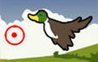 bird blast
