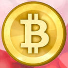 bitcoiner