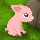 block the pig