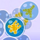 bubble tanks