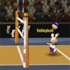 bunnylimpics volleyball
