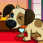 dog hotel