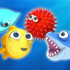 fishy rush