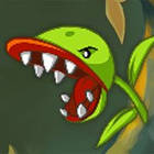fly trap