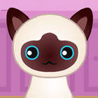 guess the kitty
