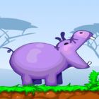 hippos feeder