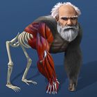 idle evolution cell to human