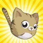 jump kitty