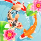 koi fish pond idle merge
