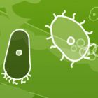 microbe kombat