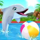 my dolphin show