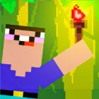 noob torch flip 2d