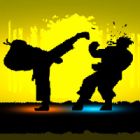 shadow fights