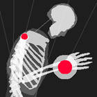 skeleton