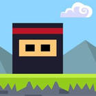 square ninja