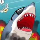 sydney shark