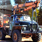 timber lorry driver