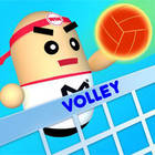 volley beans