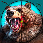 wild bear hunting